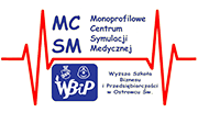 logo mcsm2